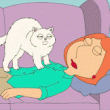 Animación de Gato y Perro