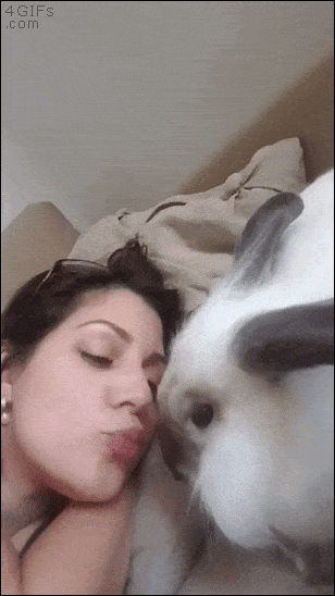 Conejo recibe beso