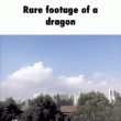 Imagen de un dragon