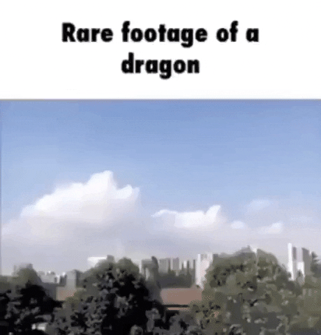 Imagen de un dragon