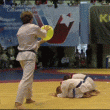 Karate patada del globo