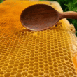 Miel en cámara lenta