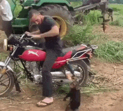 Mono quiere pasear en la moto