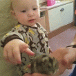 Niño juega con hamsters