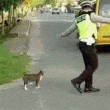 Policia ayuda a cruzar la calle