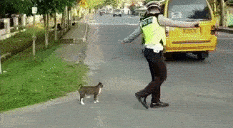 Policia ayuda a cruzar la calle