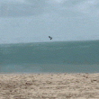 Volando en la playa