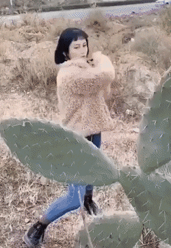 Chica jugando con cactus
