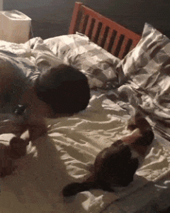 Gato imita a su dueño