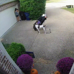 Mira mami estoy subiendo