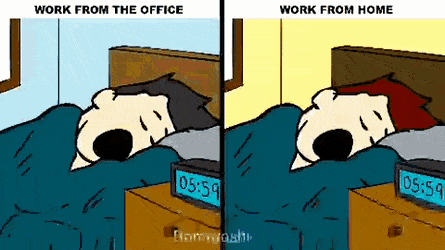 Trabajar de Oficina vs Trabajar desde Casa