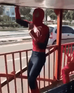 El hombre araña es real