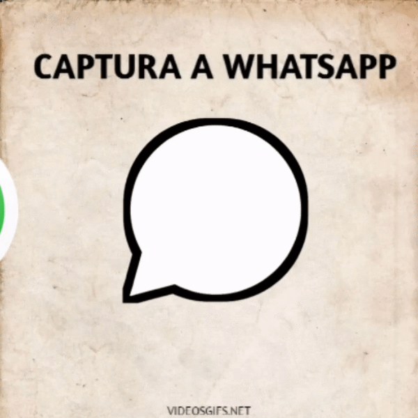 Atrapa al WhatsApp