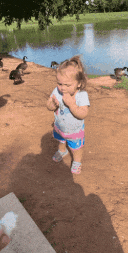Hija dale comida a los patos