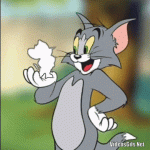 Atrapa a Jerry por el gato  Tom