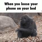 When you lose your phone