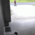 Boy sneaks into neighbors garage to hug their doggo