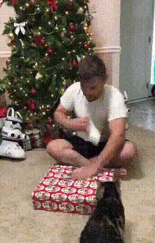 Grincat hates christmas and gifts