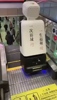 Police bot vs escalator