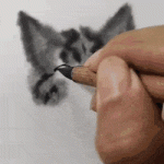 The way he paint cats