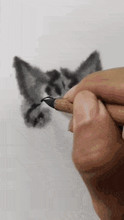 The way he paint cats