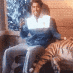 Selfie With Tiger