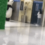 panda-and-elevator