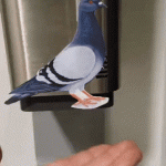 Bird soap dispenser