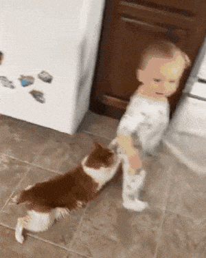 Cat and baby playing
