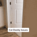 cat-daddy-issues