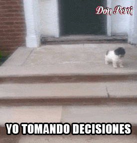 me-making-decisions