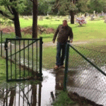 Jumping the puddle