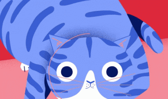 Cat wink animation
