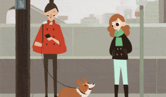 Dog and Ladies Animation