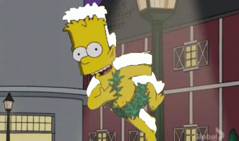 Catch Bart Simpson