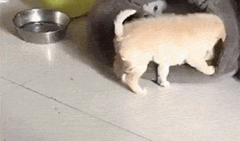 Get out of here
