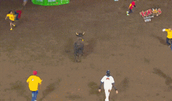 Bull running