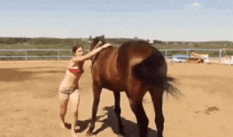 Horse helps girl to ride him