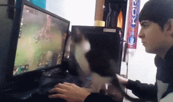 Gamer interrupted by cat