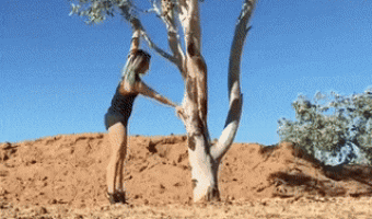 Exercising on the tree