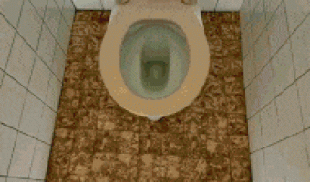 The perfect bathroom