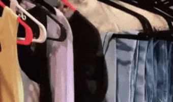 Cat in Clothes Closet