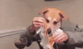Dog Man Eating Pasta