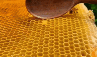 Honey in slow motion