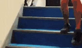 Penguins going down stairs