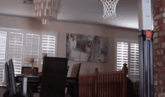 Dog playing basketball at home