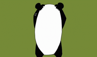 Face the panda