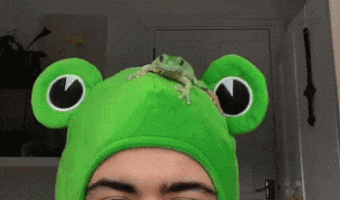 Frog Wearing a Frog Hat