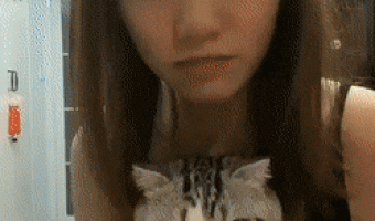 What a scare the cat got