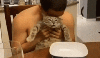 Scratching you with the cat